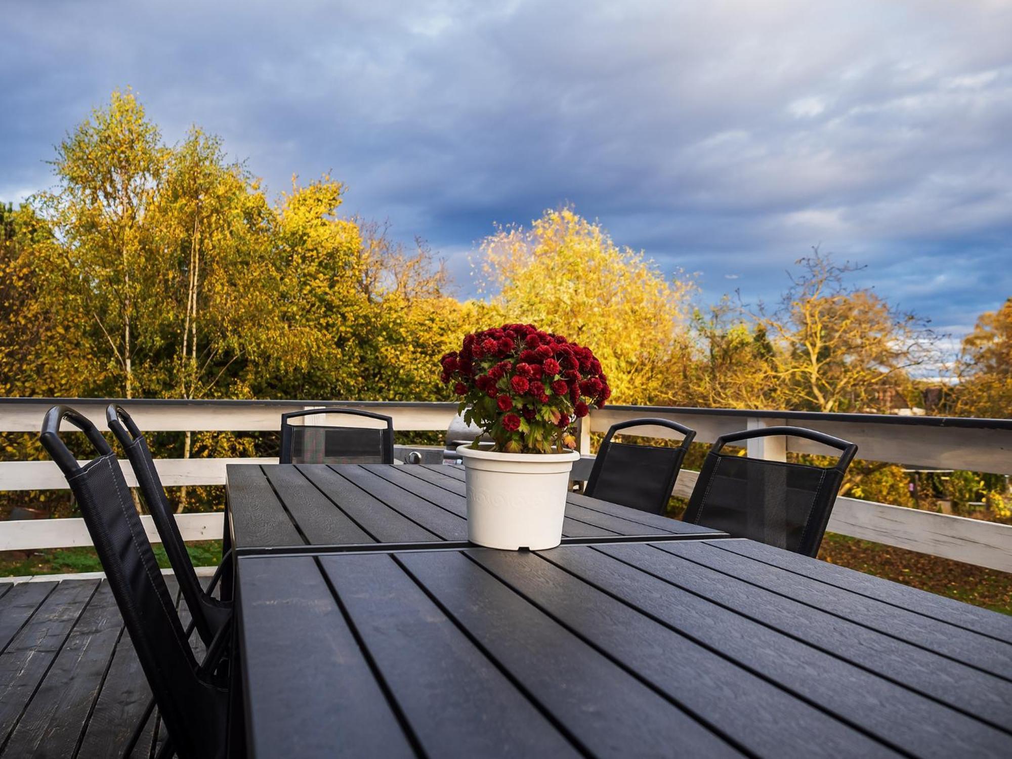 Domecek Janov Villa Exteriör bild